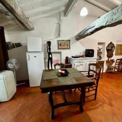 Loft vue Canigou - Maureillas