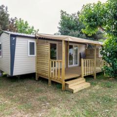 Mobil Home 6 pers avec Terrasse à Bormes-les-Mimosas - API-1-52-744