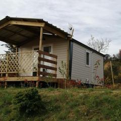 Mobil-home avec terrasse accès handicapé au Boulou - API-1-52-641