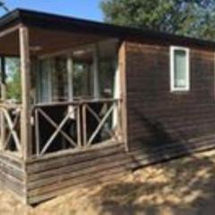 Mobil-home avec Terrasse pour 4 personnes - API-1-52-213