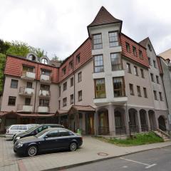 Apartment in Jachymov near Ski Lift