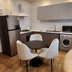 luxurious three bedroom apartment with swimming pool fully equipped gym ample parking space children playing ground area and amazing scenic views