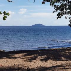 Glamping Dome Dauin Beach Resort