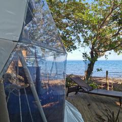 Beach Glamping Dome Dauin Modern Style