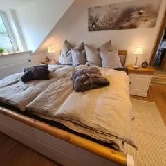 Waldstein Gipfelstürmer