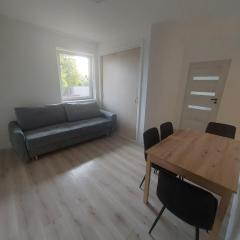 Apartament Błotnia Studio