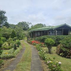 Mil Flores San Rafael Turrialba
