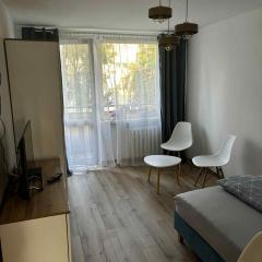 APARTAMENT u SYLWII PRZY TERMACH W CIEPLICACH