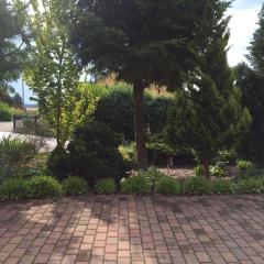 Dreamtime2 Fam Zimmermann