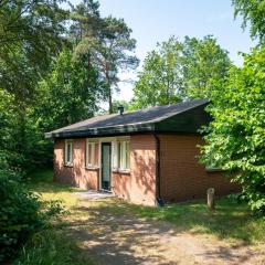 Cozy Forest Retreat Near Putten