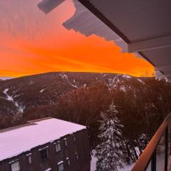 Skyline Penthouse Apartments Falls Creek
