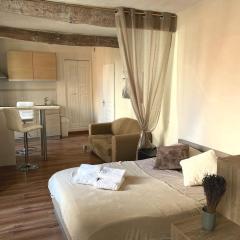 Petit Palmier Promenade Studio