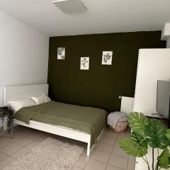 Tropical Room Modern Cozy