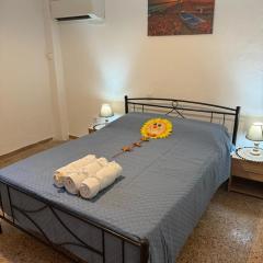 Beautiful and Remodeled Apartment 1A