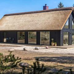 BV393-Blavand-Vestslugen-4