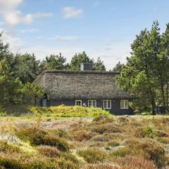 BV417 Blåvand - Nordslugen 5