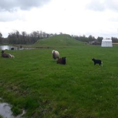 4 person holiday home in Ansager-By Traum