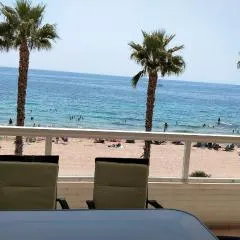 Gavina Azul