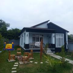 Gabala Brend Villas