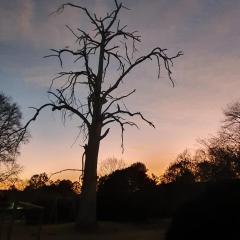 Acorns and Quackers Self Catering