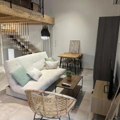 Duplex climatisé avec terrasse et parking privatif