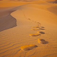 Two and Three Bedroom at GoBajac