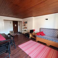 Résidence Alpet Ii - Grand appartement fonctionnel et bien placé MAE-9244