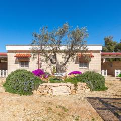 Villa Il Marchese e L'Ulivo by BarbarHouse