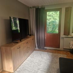 Compact beautiful apartment with sauna