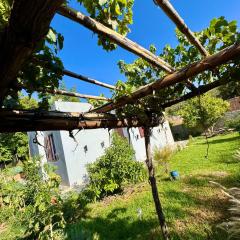 Villa Mouloud, arougou khenifra