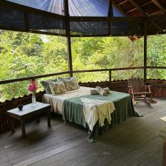 Beautiful open house in the forest