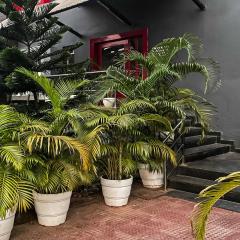 Super Townhouse Swain Heritage