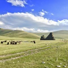 Live like a Mongolian Nomad