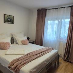 Vintage Central Apartament