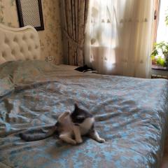 VIP Apartment Constantin