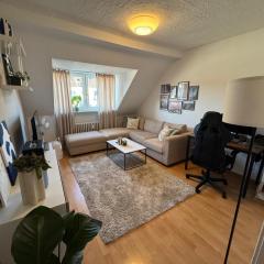 Cozy apartment in the center of Düsseldorf