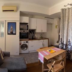 Apartment in Nice