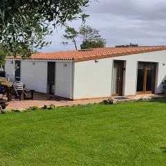 A PINTEGA DAS DUNAS
