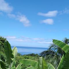 Grand volume meublé