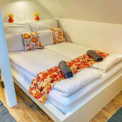 Magenta Apartman