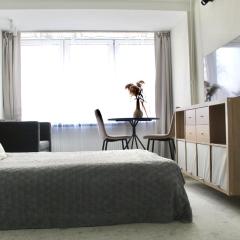Cozy Studio near Druskininkai