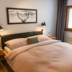 Ambiente Appartement C2 - moderne Ferienwohnung mit Terrasse in Leukerbad