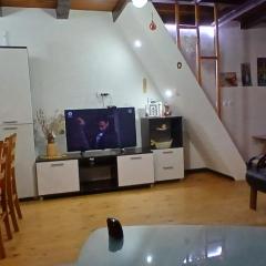 Vikendica Savic TKM