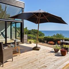 LF473-Thisted-Asvej-73