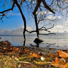 Elegantes & modernes Apartment NeLi mit Terrasse, 100m zum Hafen Röbel Müritz