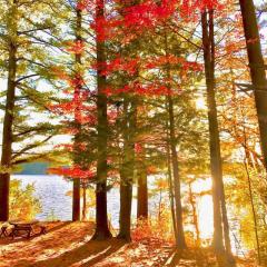 Wagon Wheel Cottage - Relax, Swim, Paddle, Explore