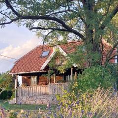 Cozy wooden house Robinia