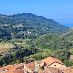 Lumira Vista – Panorama