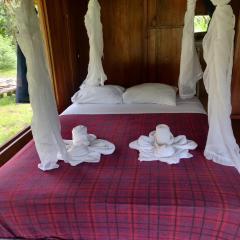 Warmy Tours
