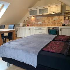 Studio z kominkiem Leśna sauna i balia Cieszyn Wisła Ustron w zasięgu ręki